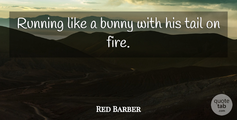Red Barber Quote About American Celebrity, Bunny, Running, Tail: Running Like A Bunny With...