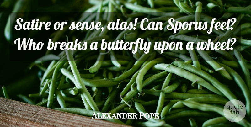 Alexander Pope Quote About Butterfly, Wheels, Satire: Satire Or Sense Alas Can...