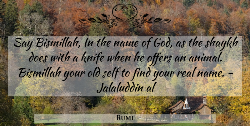 Rumi Quote About Wisdom, Real, Islamic: Say Bismillah In The Name...