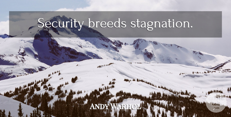 Andy Warhol Quote About Stagnation, Security: Security Breeds Stagnation...