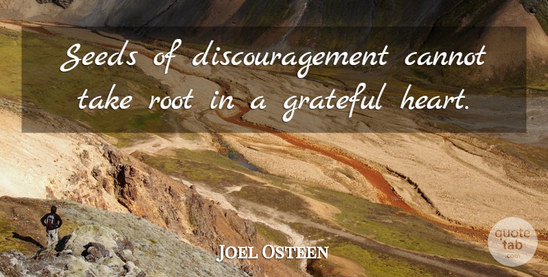 Joel Osteen Quote About Grateful, Heart, Roots: Seeds Of Discouragement Cannot Take...