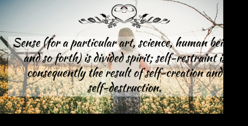 Karl Wilhelm Friedrich Schlegel Quote About Art, Self, Spirit: Sense For A Particular Art...