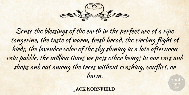 Jack Kornfield Quote About Afternoon, Among, Arc, Beings, Blessings: Sense The Blessings Of The...