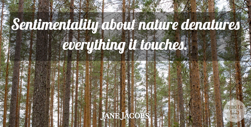 Jane Jacobs Quote About Sentimentality: Sentimentality About Nature Denatures Everything...