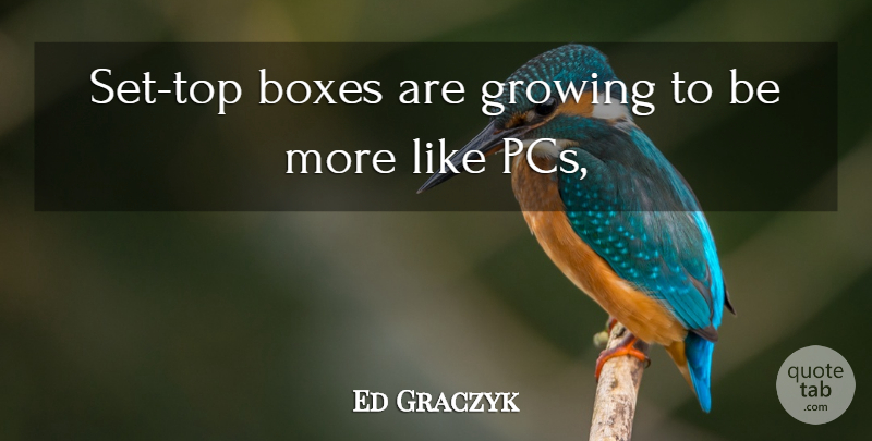 Ed Graczyk Quote About Boxes, Growing: Set Top Boxes Are Growing...
