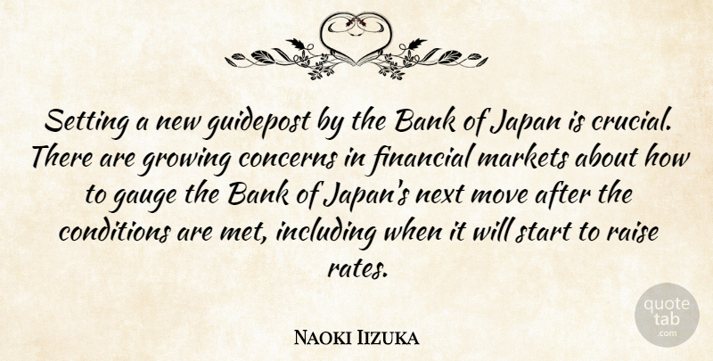 Naoki Iizuka Quote About Bank, Concerns, Conditions, Financial, Gauge: Setting A New Guidepost By...