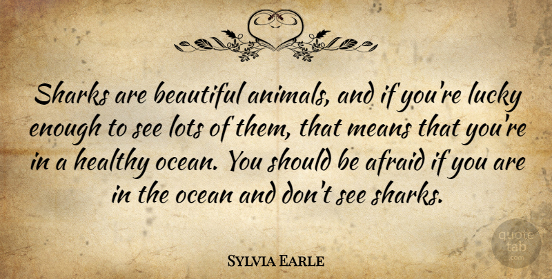 Sylvia Earle Quote About Beautiful, Ocean, Mean: Sharks Are Beautiful Animals And...