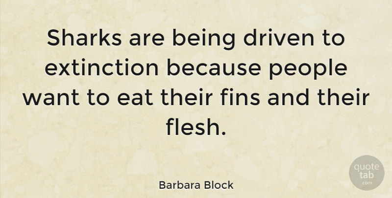 Barbara Block Quote About Sharks, People, Flesh: Sharks Are Being Driven To...
