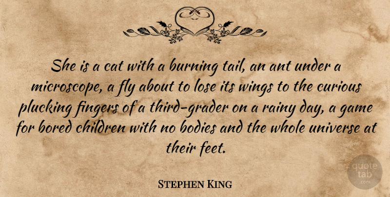 Stephen King Quote About Children, Cat, Rainy Day: She Is A Cat With...