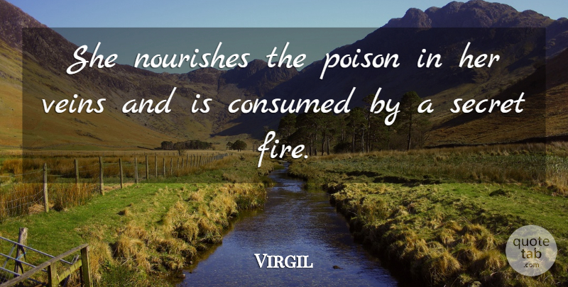 Virgil Quote About Fire, Secret, Veins: She Nourishes The Poison In...