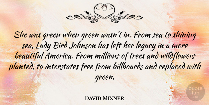 David Mixner Quote About Billboards, Free, Green, Johnson, Lady: She Was Green When Green...
