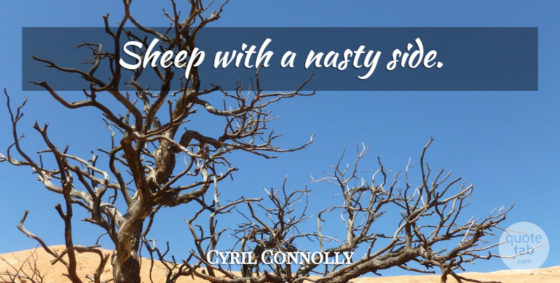 Cyril Connolly Quote About Sheep, Insulting, Sides: Sheep With A Nasty Side...