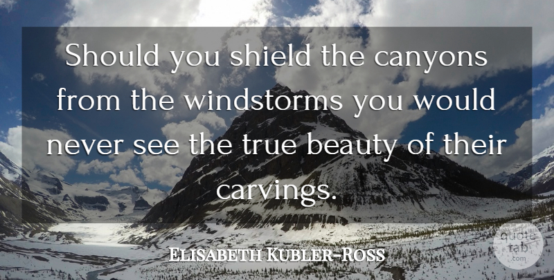 Elisabeth Kubler-Ross Quote About Life, Death, Nature: Should You Shield The Canyons...