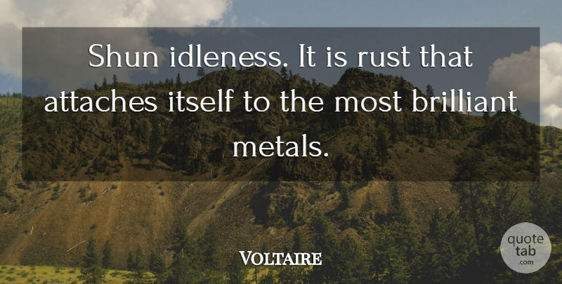 Voltaire Quote About Life, Rust, Brilliant: Shun Idleness It Is Rust...