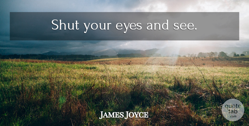 James Joyce Quote About Eye, Zeus, Insight: Shut Your Eyes And See...