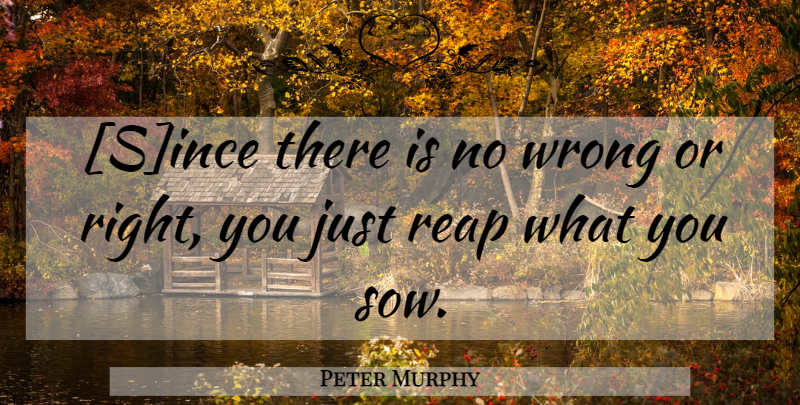 Peter Murphy Quote About Nihilism, Wrong Or Right, Reap: Since There Is No Wrong...