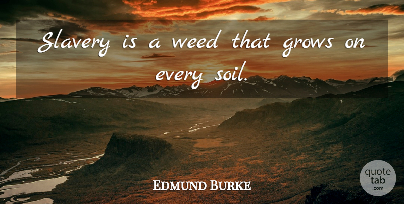 Edmund Burke Quote About Inspirational, Weed, Marijuana: Slavery Is A Weed That...