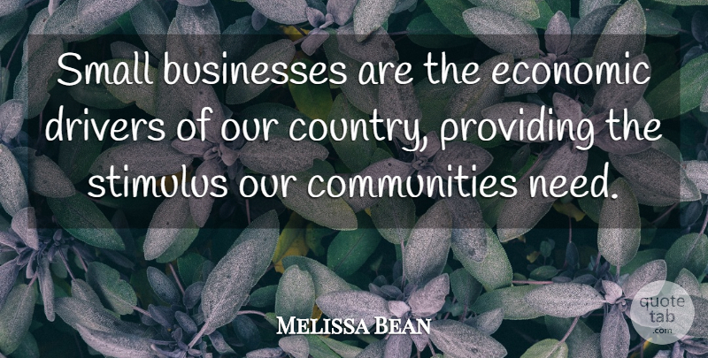 Melissa Bean Quote About Country, Community, Needs: Small Businesses Are The Economic...