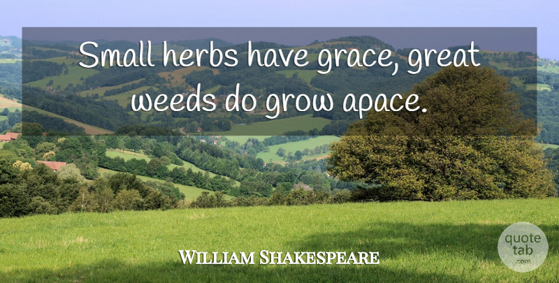 William Shakespeare Quote About Weed, Grace, Herbs: Small Herbs Have Grace Great...