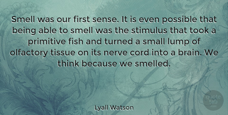 Lyall Watson Quote About Cord, Lump, Nerve, Possible, Primitive: Smell Was Our First Sense...