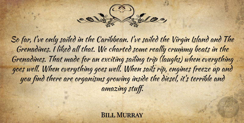 Bill Murray Quote About Rip, Islands, Laughing: So Far Ive Only Sailed...