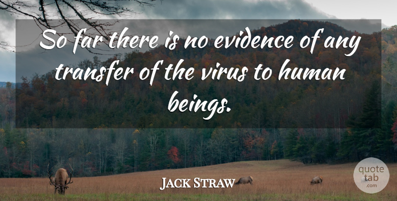Jack Straw Quote About Evidence, Far, Human, Transfer, Virus: So Far There Is No...
