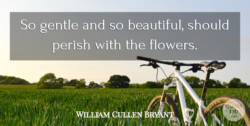 William Cullen Bryant Quote About Gentle, Perish: So Gentle And So Beautiful...