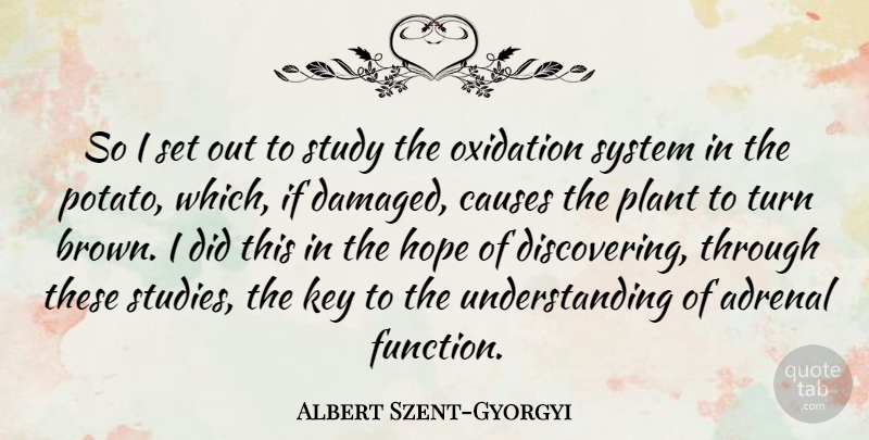 Albert Szent-Gyorgyi Quote About Causes, Hope, Key, Plant, Study: So I Set Out To...