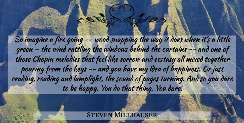 Steven Millhauser Quote About Reading, Keys, Pages Turning: So Imagine A Fire Going...