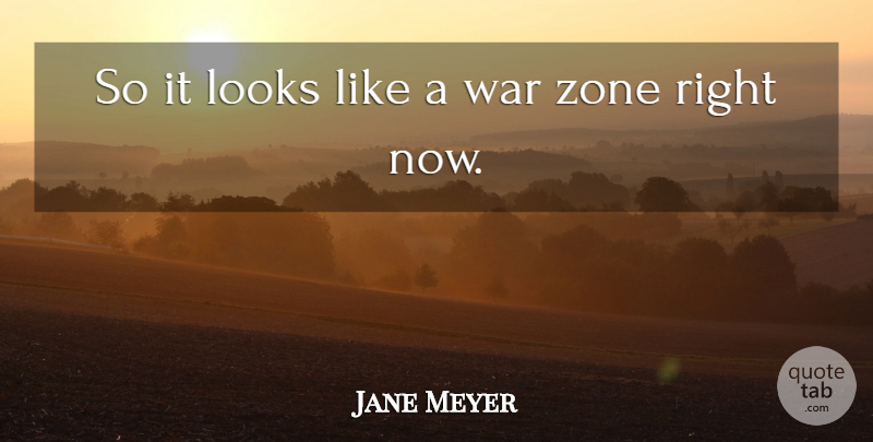 Jane Meyer Quote About Looks, War, Zone: So It Looks Like A...