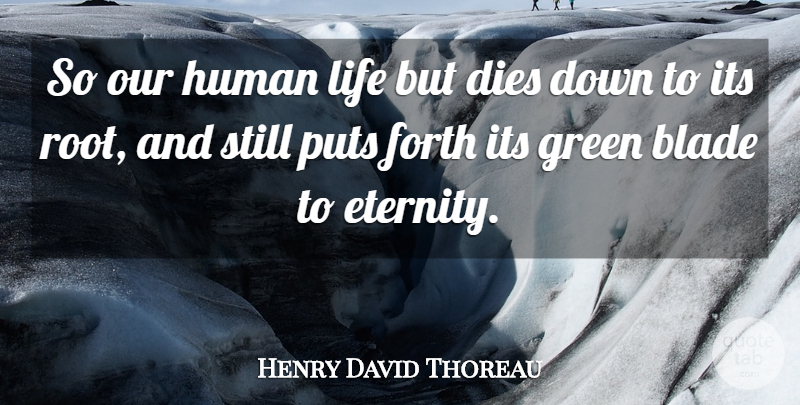 Henry David Thoreau Quote About Positive Thinking, Roots, Green: So Our Human Life But...