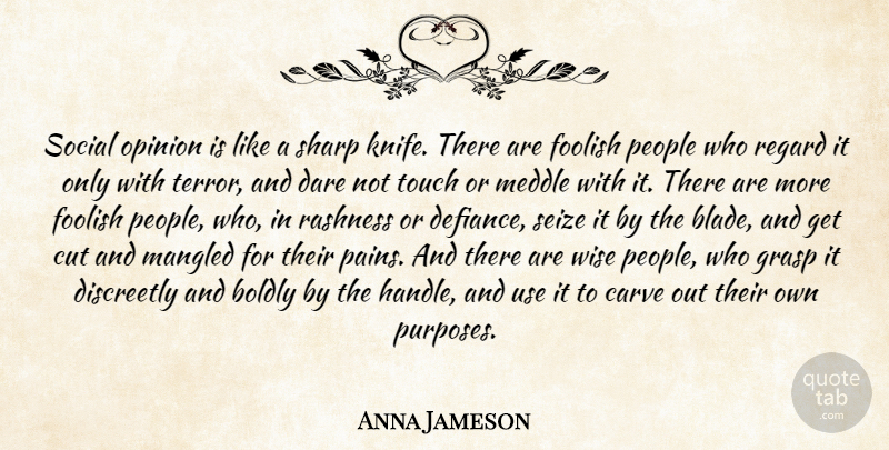 Anna Jameson Quote About Wise, Pain, Cutting: Social Opinion Is Like A...