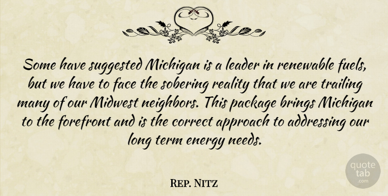 Rep. Nitz Quote About Addressing, Approach, Brings, Correct, Energy: Some Have Suggested Michigan Is...