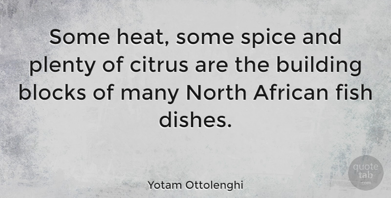 Yotam Ottolenghi Quote About Block, Spices, Heat: Some Heat Some Spice And...