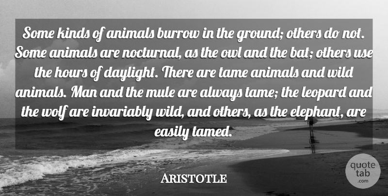 Aristotle Quote About Easily, Hours, Invariably, Kinds, Leopard: Some Kinds Of Animals Burrow...