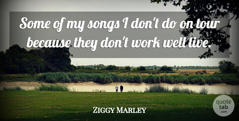 Ziggy Marley Quote About Song, Wells: Some Of My Songs I...