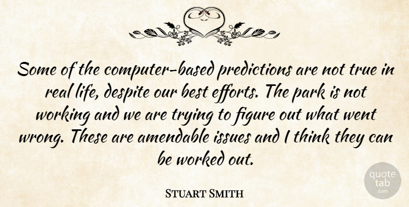 Stuart Smith Quote About Best, Despite, Figure, Issues, Park: Some Of The Computer Based...