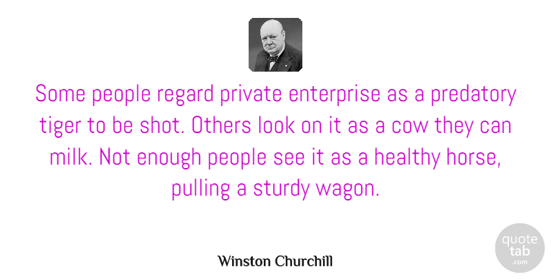 Winston Churchill Quote About Inspirational, Horse, Business: Some People Regard Private Enterprise...