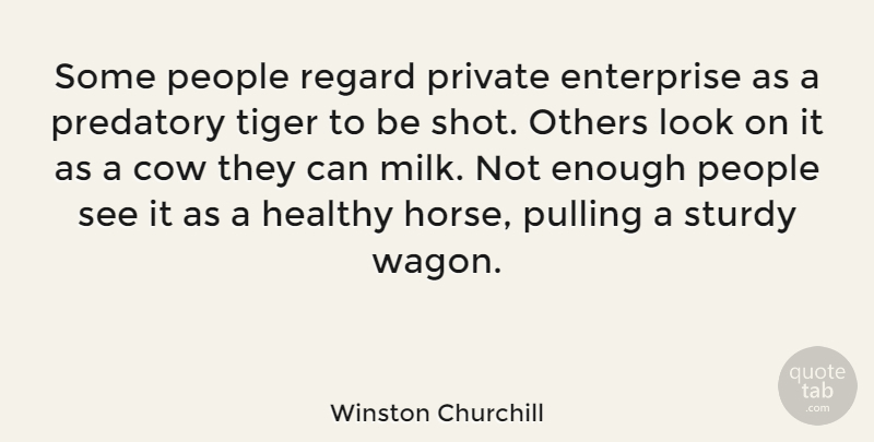 Winston Churchill Quote About Inspirational, Horse, Business: Some People Regard Private Enterprise...