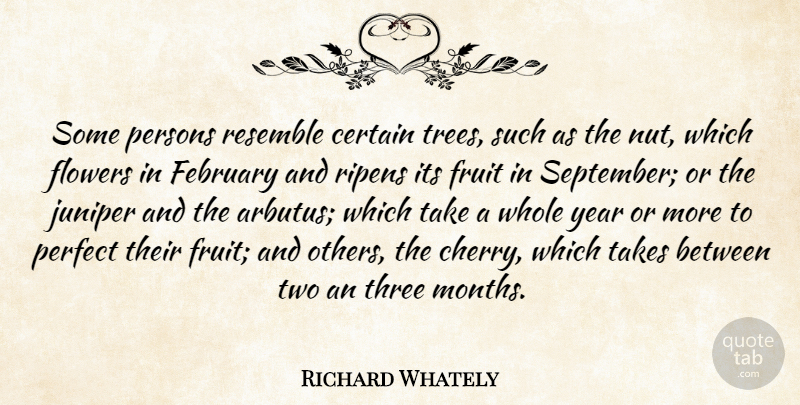 Richard Whately Quote About Flower, Years, Nuts: Some Persons Resemble Certain Trees...