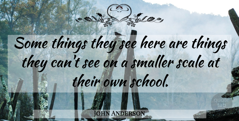 John Anderson Quote About Scale, Smaller: Some Things They See Here...