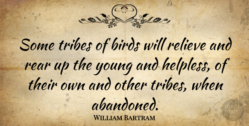 William Bartram Quote About Bird, Tribes, Abandoned: Some Tribes Of Birds Will...