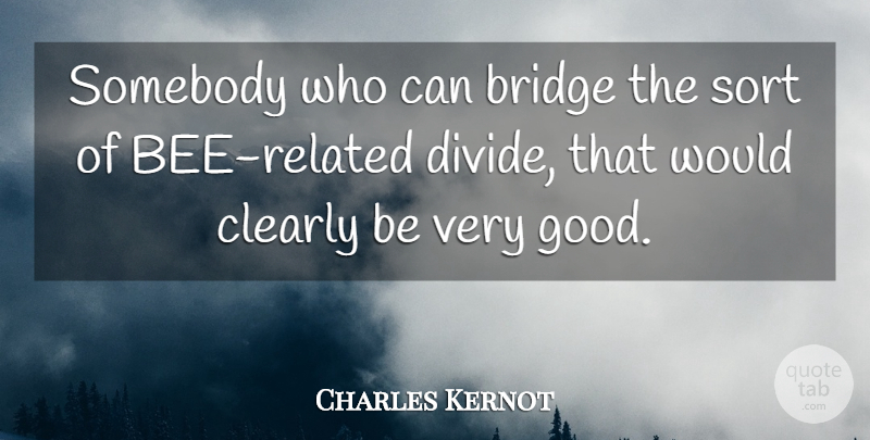 Charles Kernot Quote About Bridge, Clearly, Somebody, Sort: Somebody Who Can Bridge The...