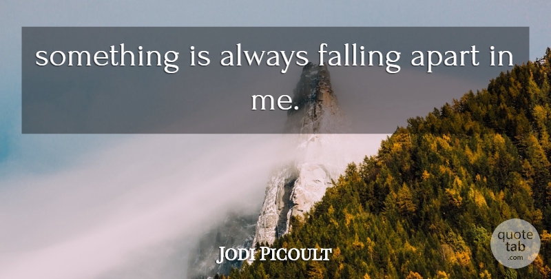 Jodi Picoult Quote About Fall, Falling Apart, My Sisters Keeper: Something Is Always Falling Apart...