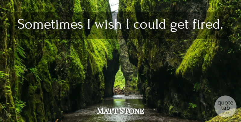 Matt Stone Quote About Wish, Sometimes: Sometimes I Wish I Could...