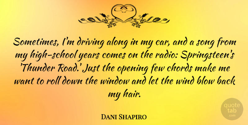 Dani Shapiro Quote About Along, Blow, Car, Chords, Driving: Sometimes Im Driving Along In...