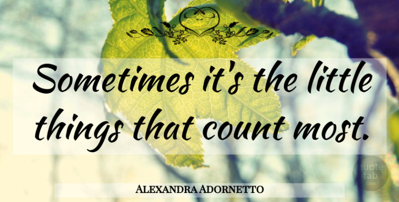 Alexandra Adornetto Quote About Littles, Bold Actions, Sometimes: Sometimes Its The Little Things...
