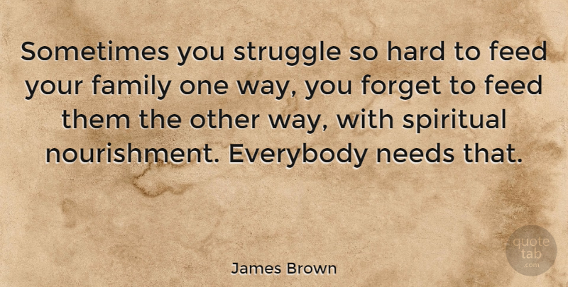James Brown Quote About Spiritual, Father, Struggle: Sometimes You Struggle So Hard...