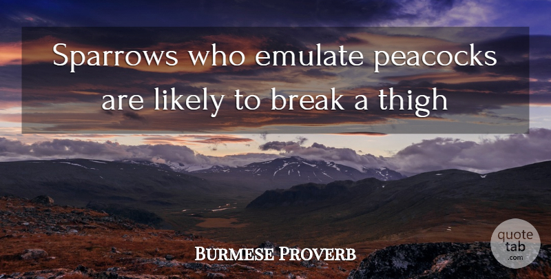 Burmese Proverb Quote About Break, Emulate, Likely: Sparrows Who Emulate Peacocks Are...