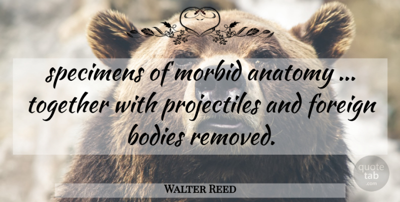 Walter Reed Quote About Anatomy, Bodies, Foreign, Morbid, Together: Specimens Of Morbid Anatomy Together...